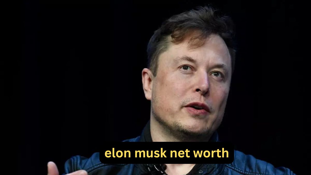 Elon Musk Net Worth